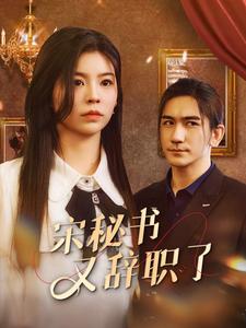 宋秘书又辞职了 第42集