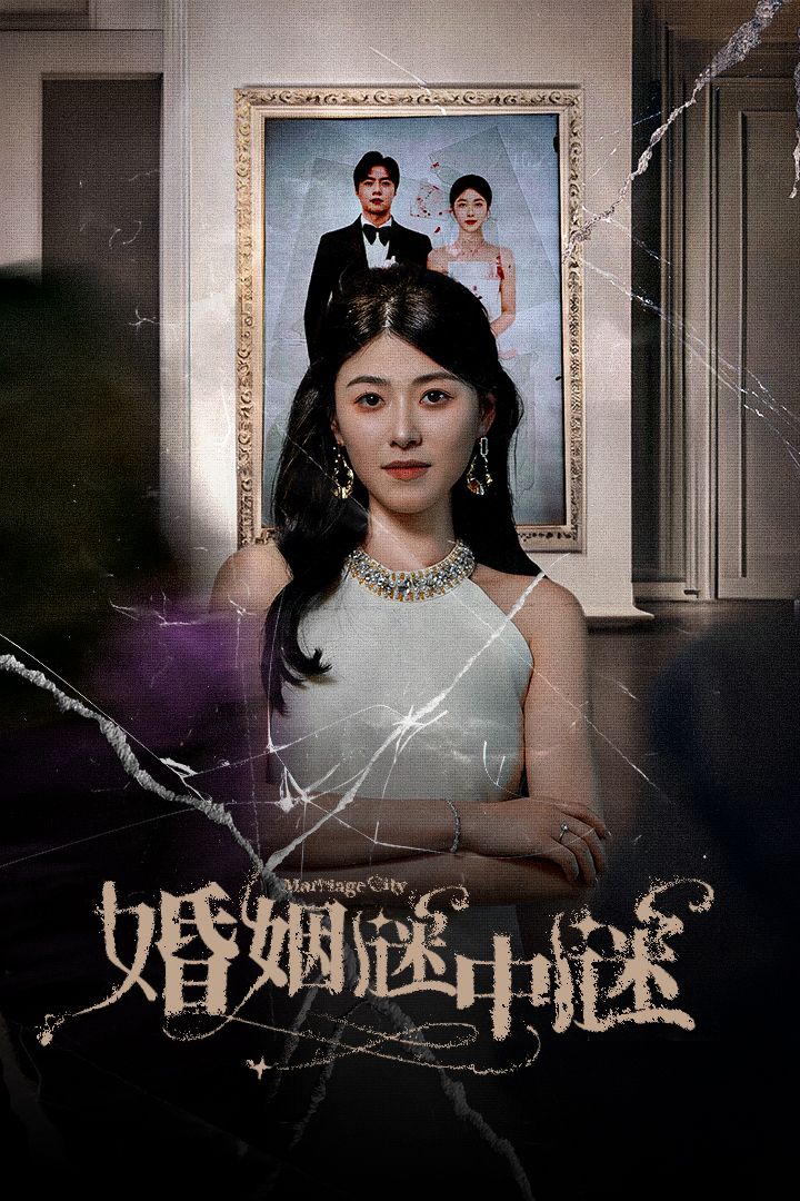 婚姻谜中谜 第28集