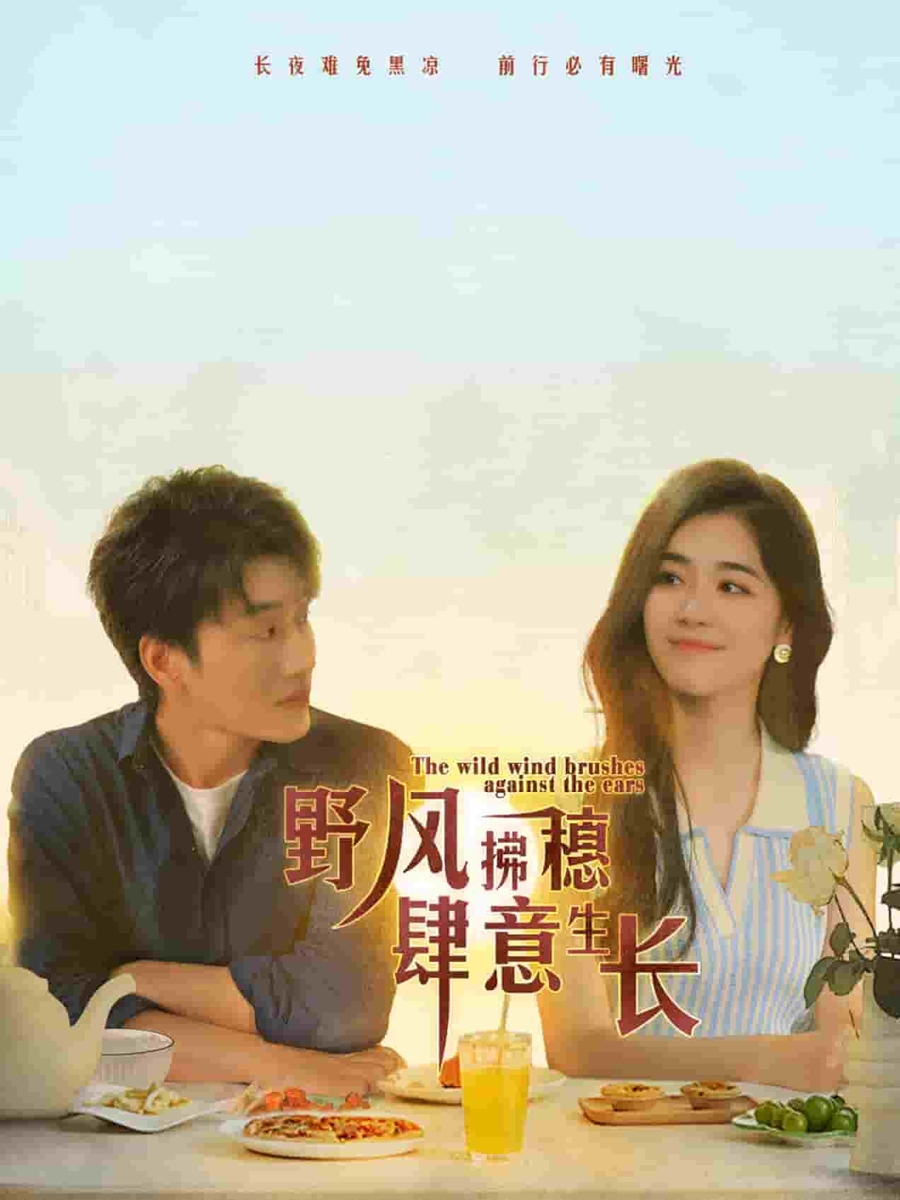 野风拂穗肆意生长 第23集