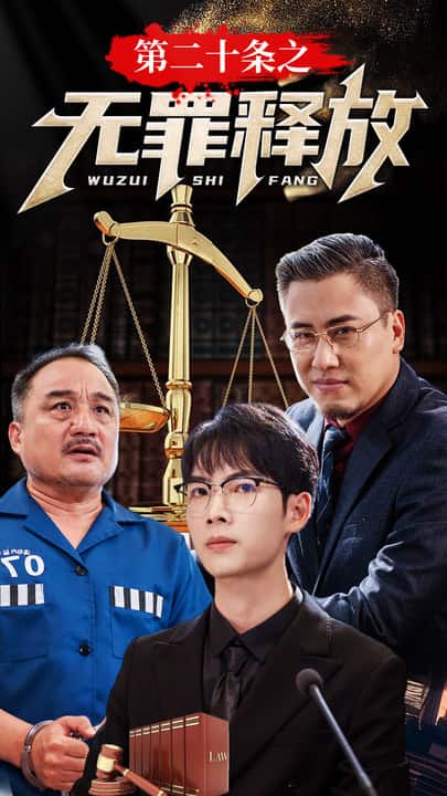 第二十条之无罪释放 第21集