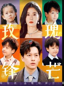 玫瑰锋芒 第41集