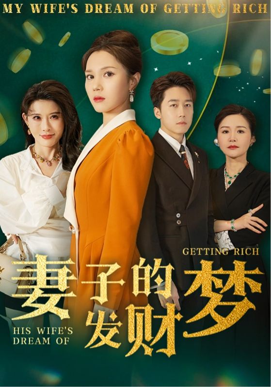 妻子的发财梦 第47集
