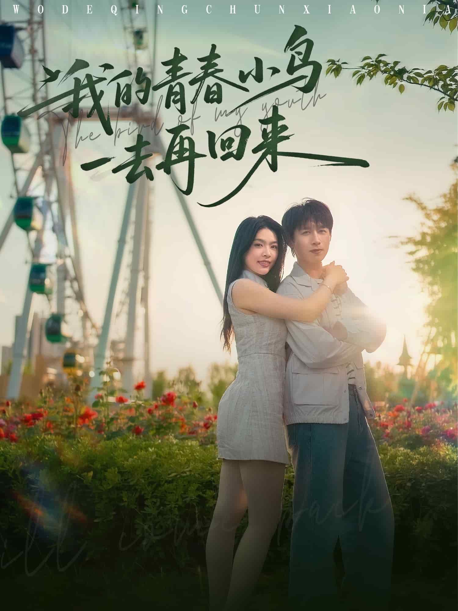 我的青春小鸟一去再回来(全集)
