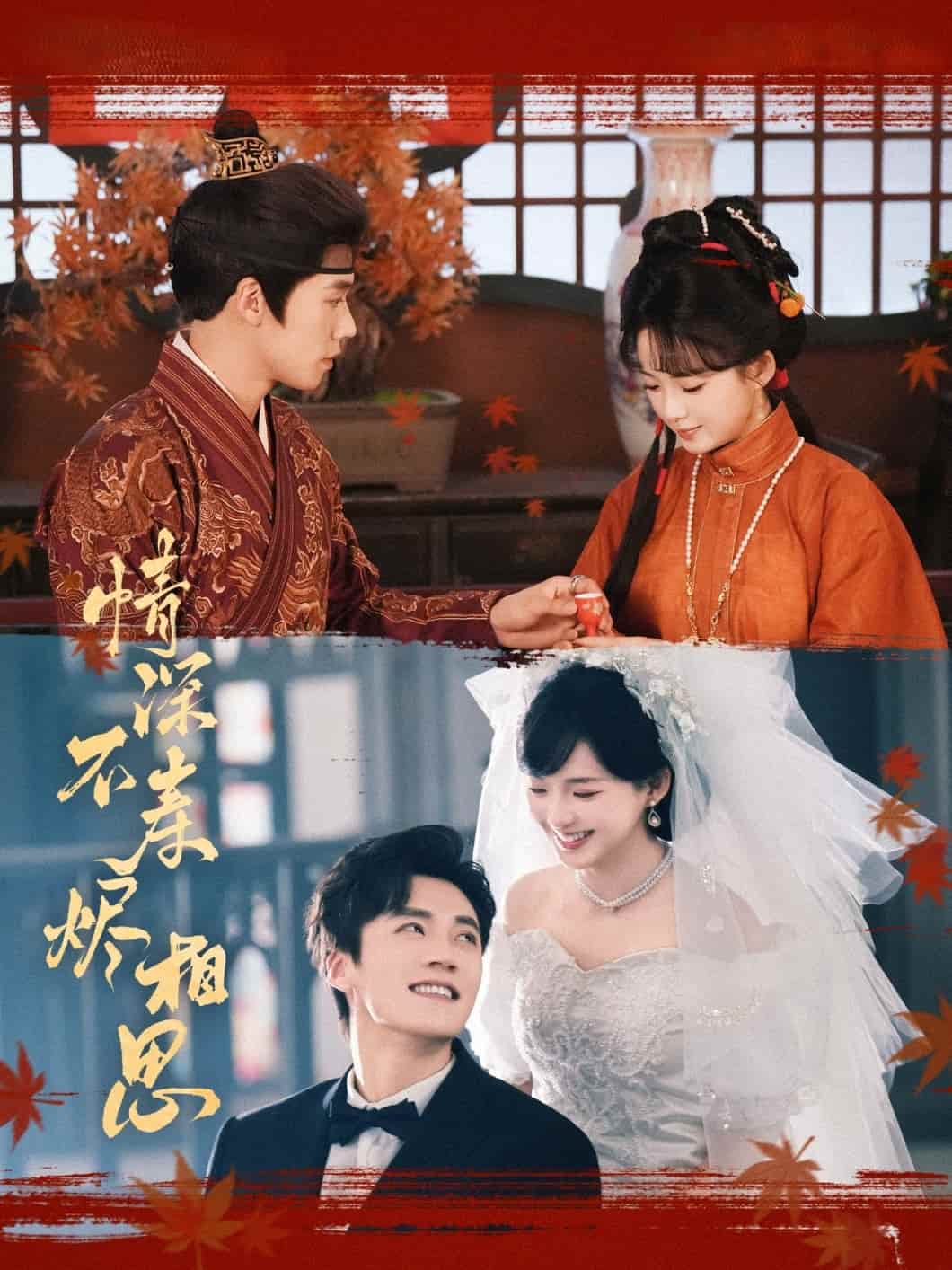情深不寿烬相思 第28集