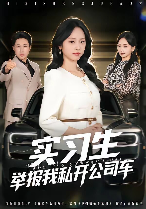 实习生举报我私开公司车(全集)