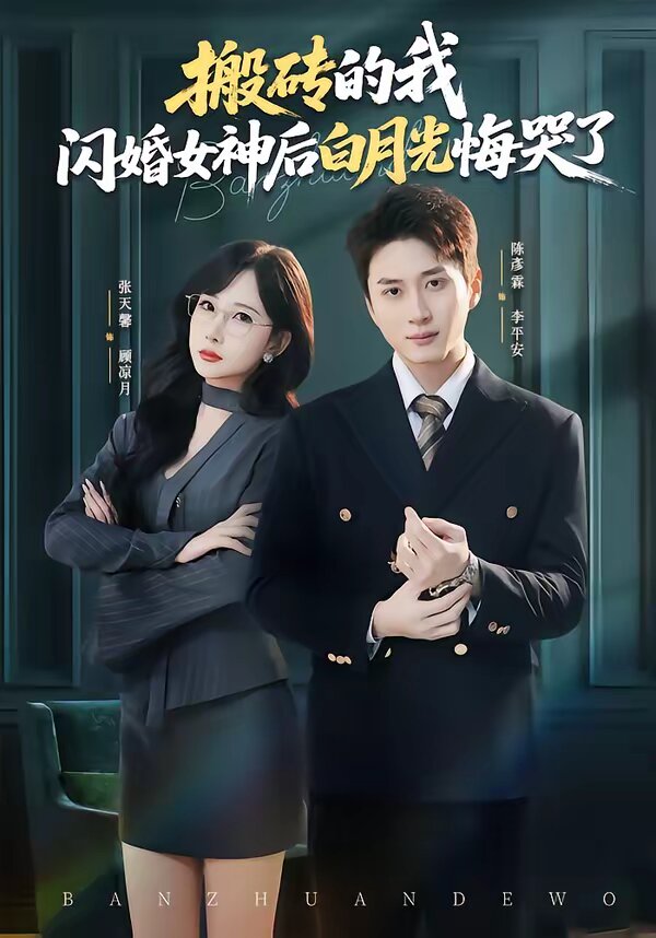搬砖的我，闪婚女神后白月光悔哭了 第12集